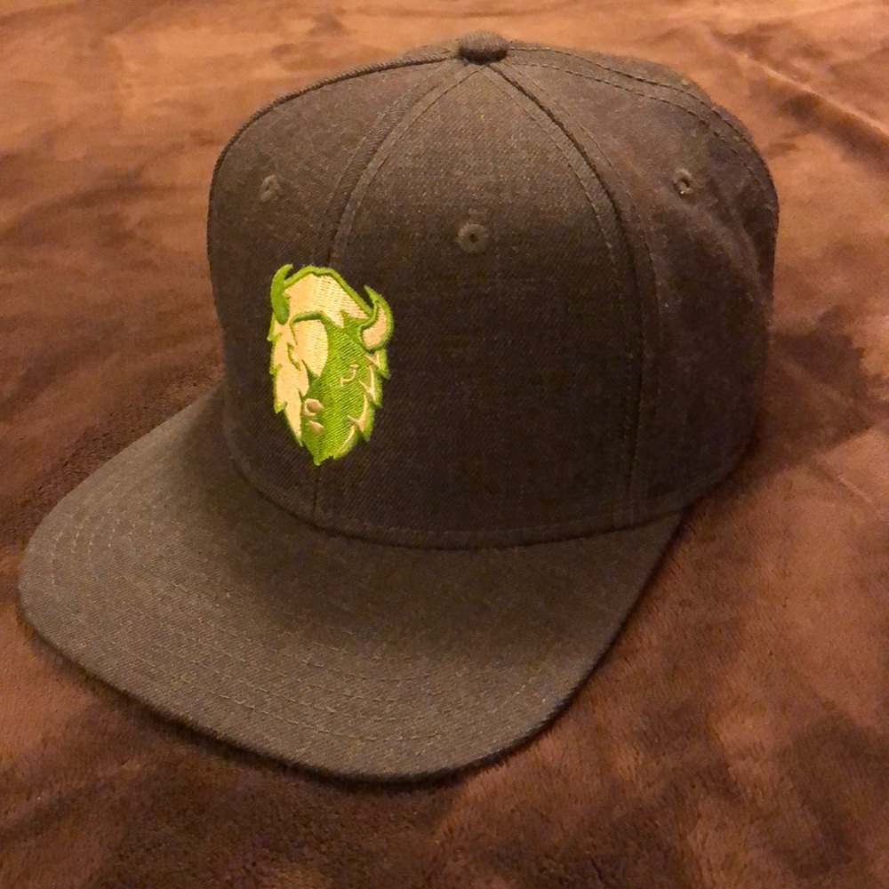 Imagine Nation Brewing flat-bill hat